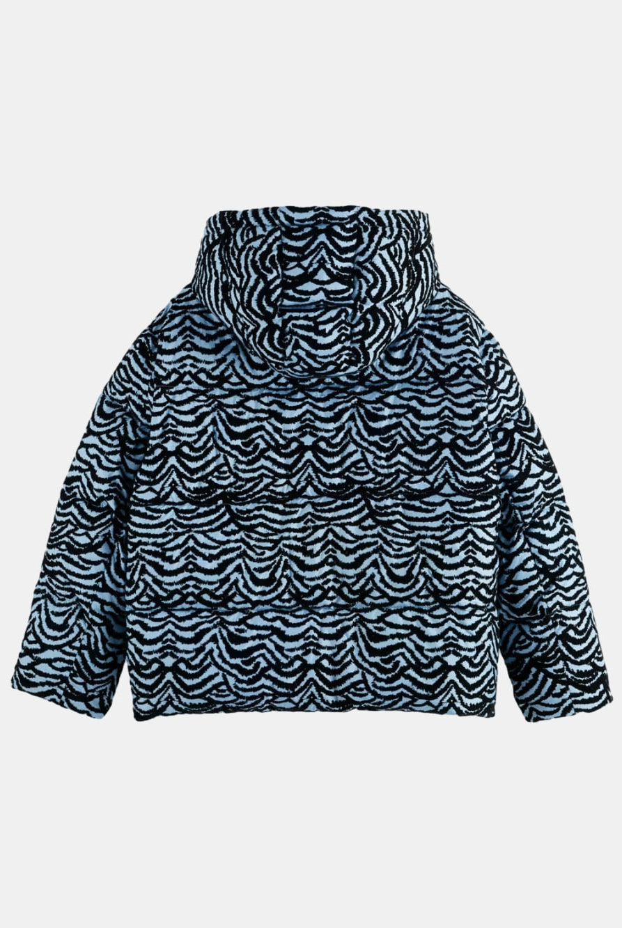 hooded-puffer back view by Scotch & Soda