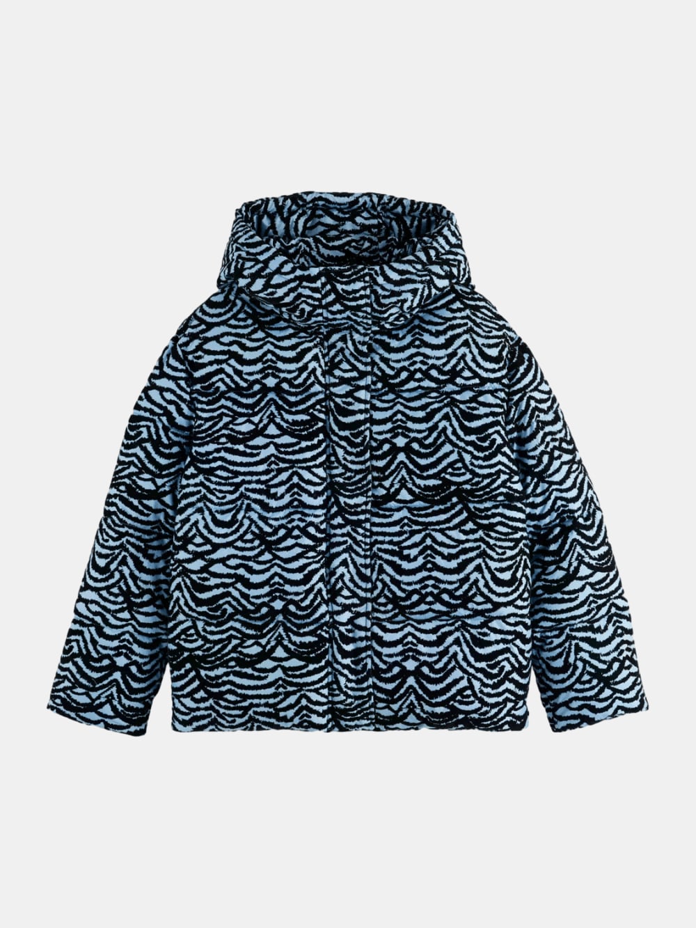 hooded-puffer front view by Scotch & Soda