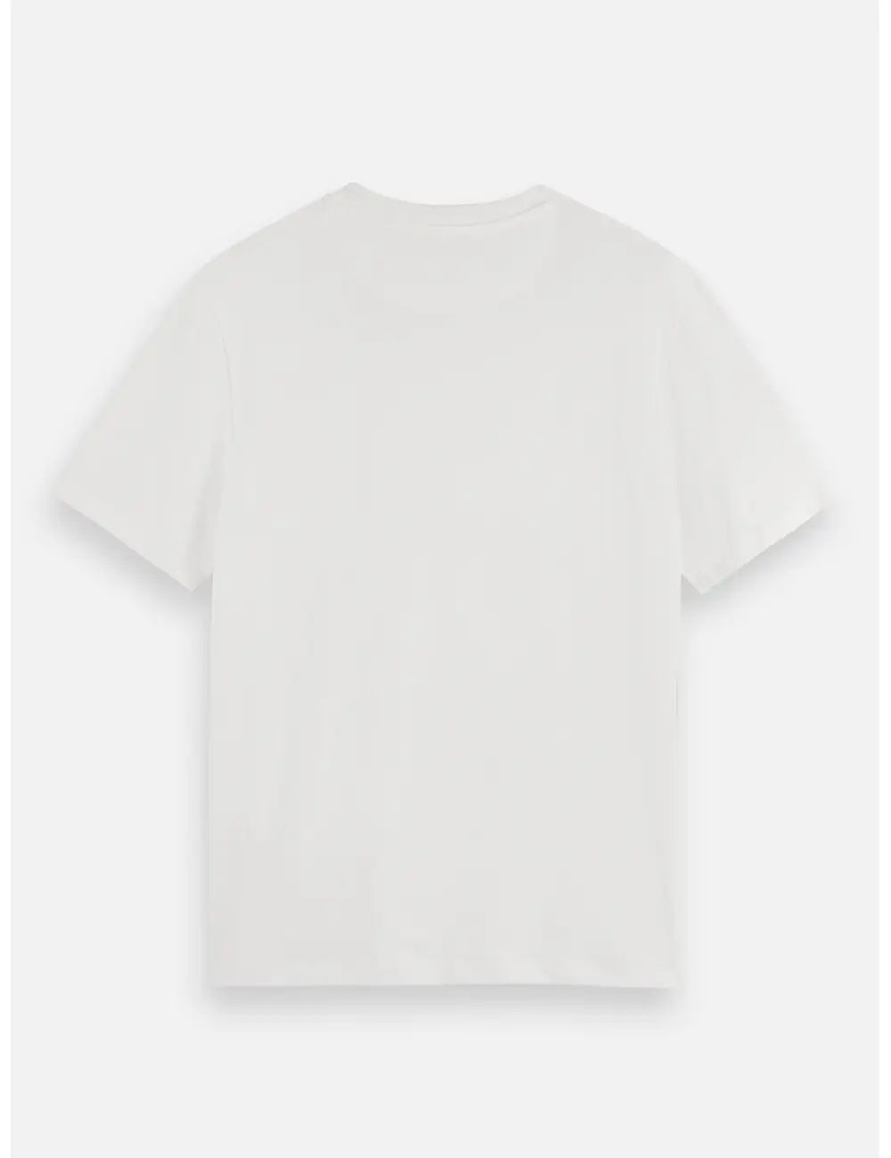 Logo T Shirt flat lay back view by Scotch & Soda