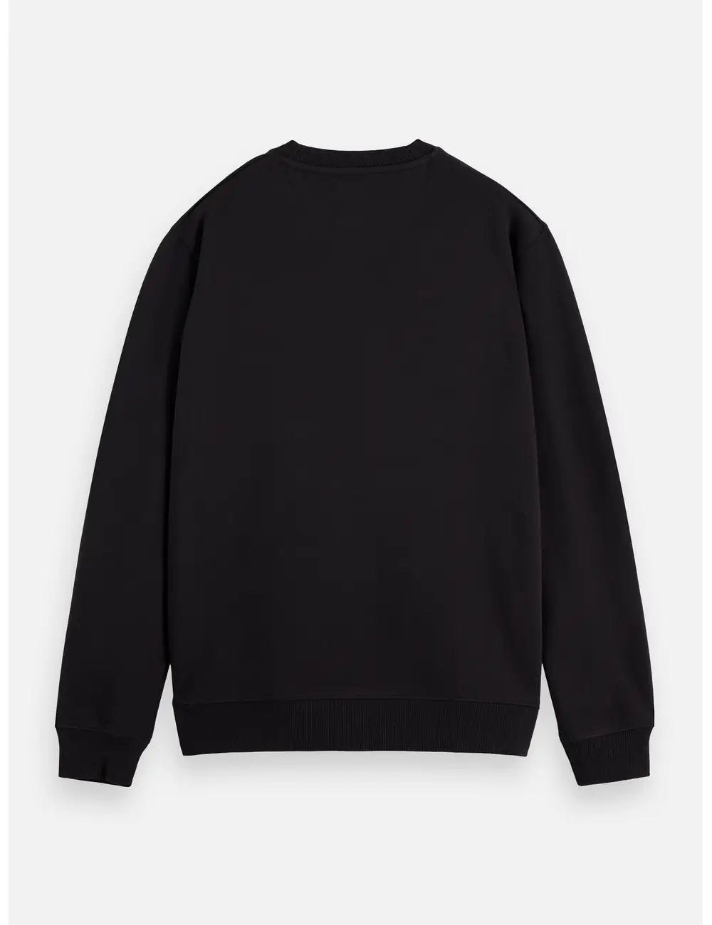 Logo Sweatshirt flat lay back view by Scotch & Soda