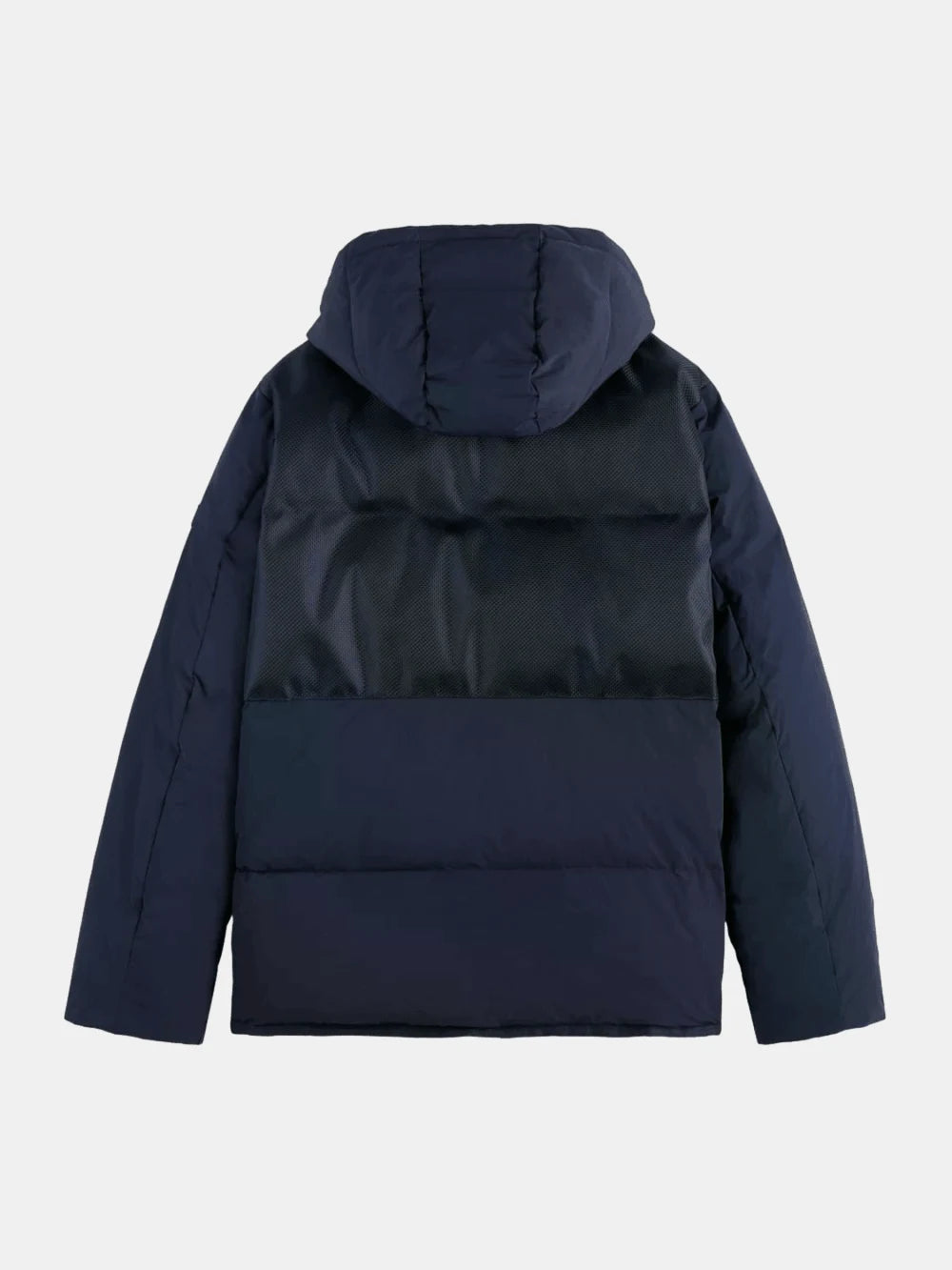 hooded-puffer-jacket back view by Scotch & Soda