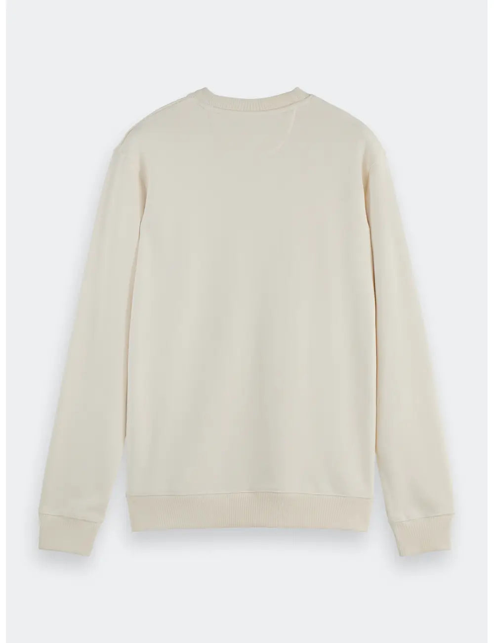 Logo Sweatshirt flat lay back view by Scotch & Soda