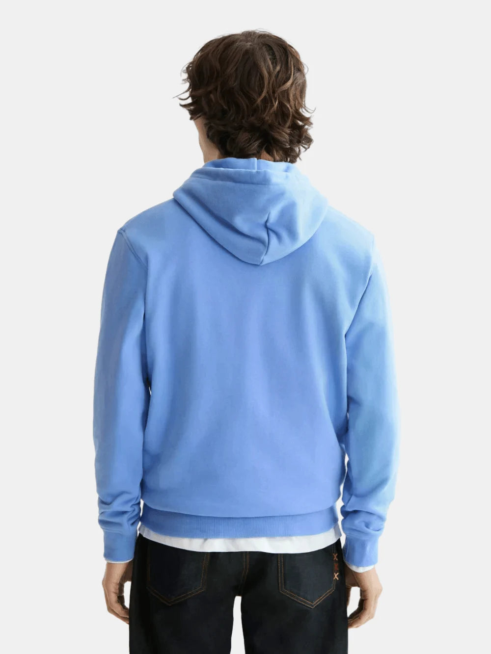 seasonal-core-regular-fit-logo-badge-hoodie-2 back view by Scotch & Soda