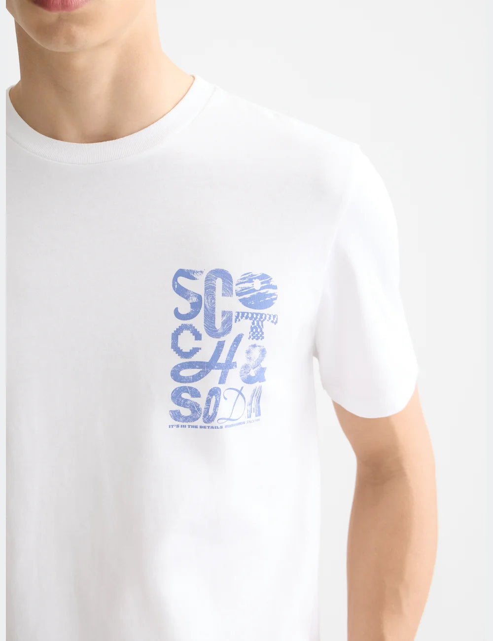 Logo T Shirt flat lay back view by Scotch & Soda