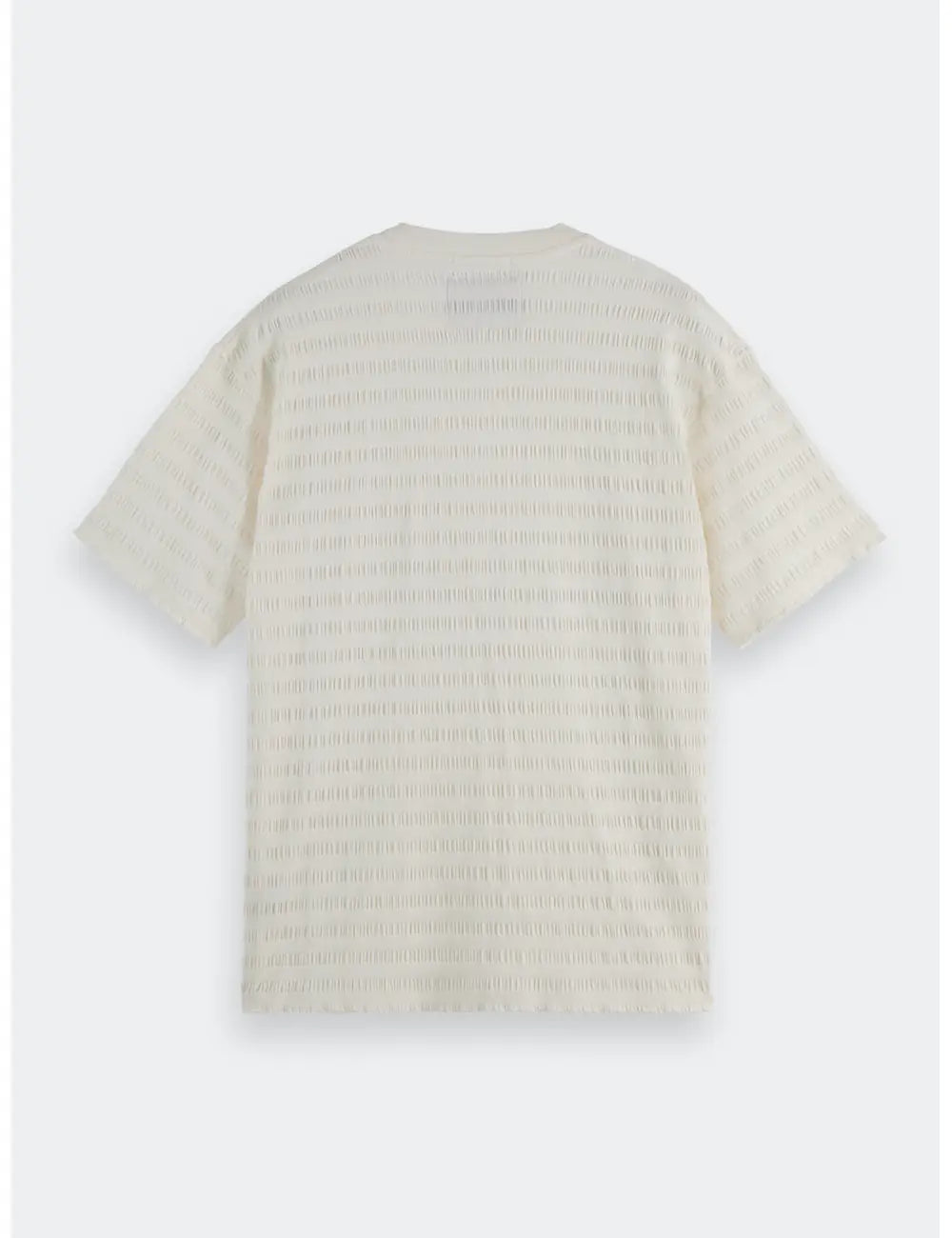 Relaxed Textured Tee flat lay back view by Scotch & Soda