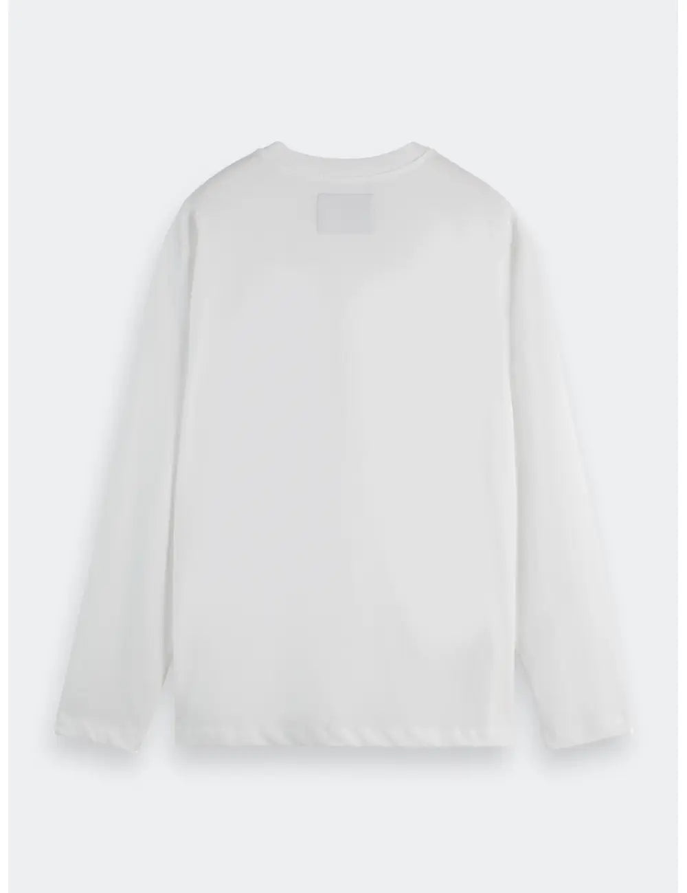 Relaxed Artwork Tee flat lay back view by Scotch & Soda