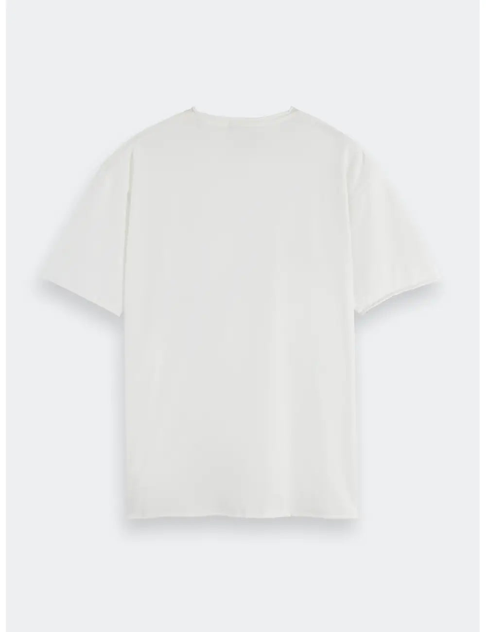 Raw Edge T Shirt flat lay back view by Scotch & Soda