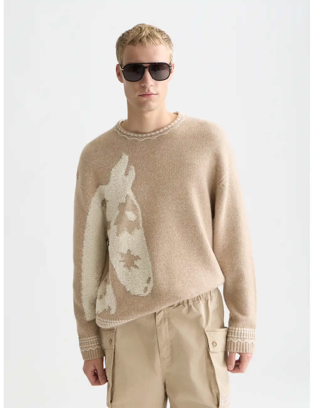 Medium Beige Loosefit Jacquard Pullover front view by Scotch & Soda