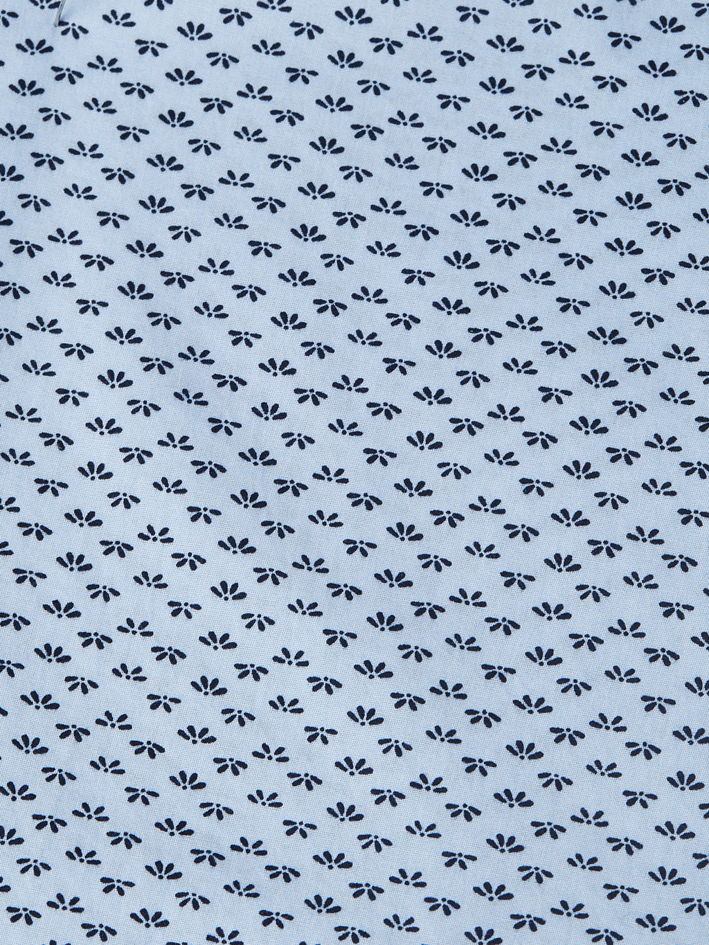 Printed cotton poplin shirt