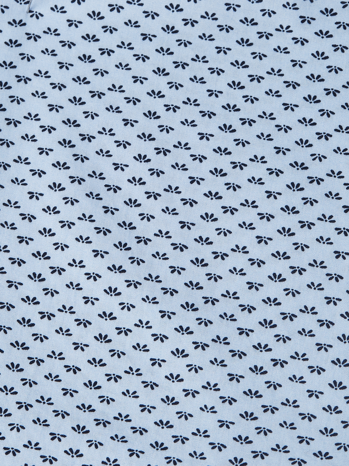 Printed cotton poplin shirt
