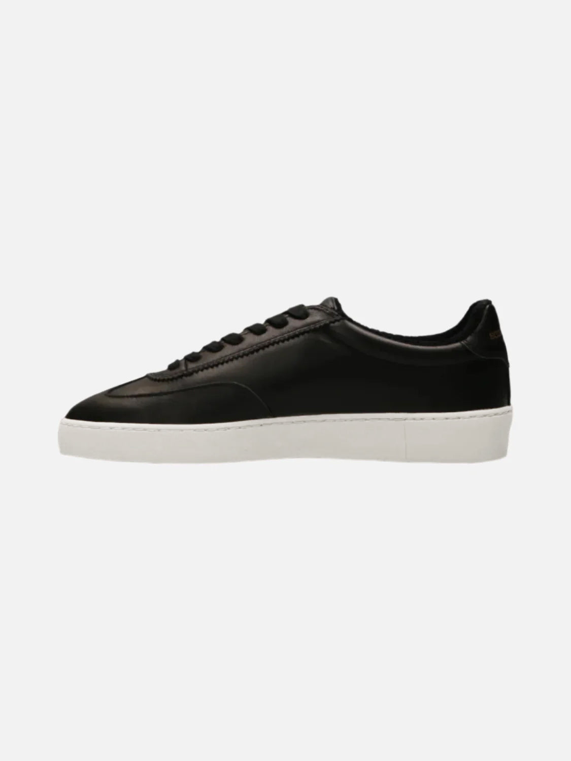 Plakka Men's Sneakers