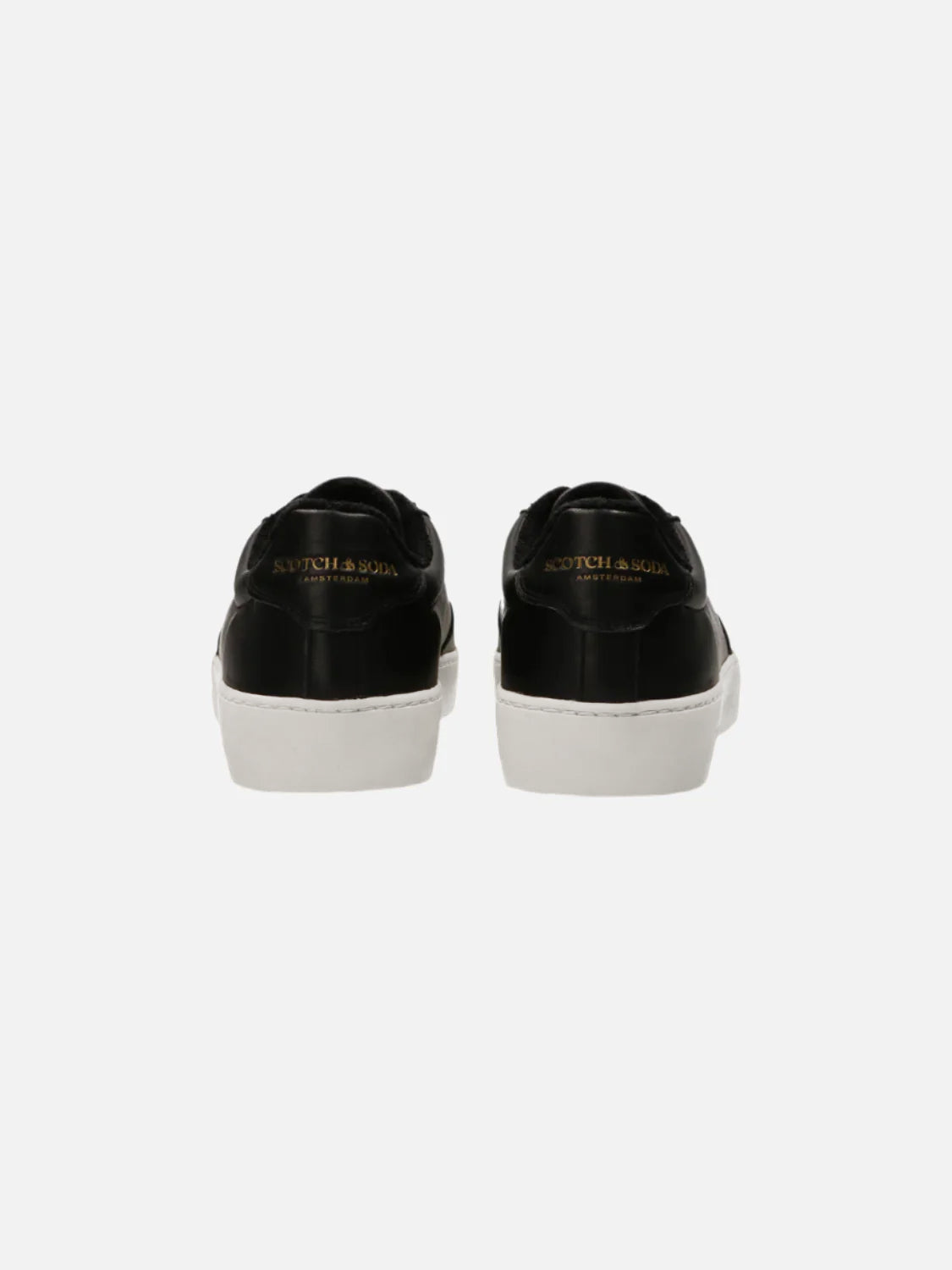 Plakka Men's Sneakers