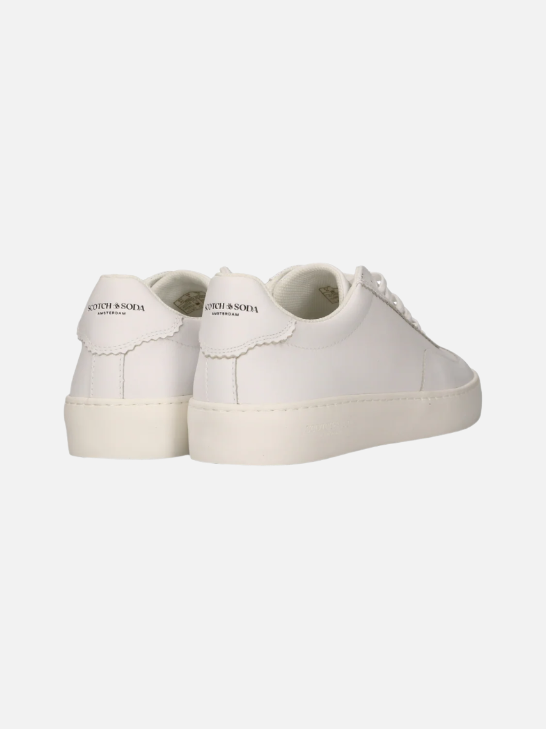 Plakka Men's Sneakers