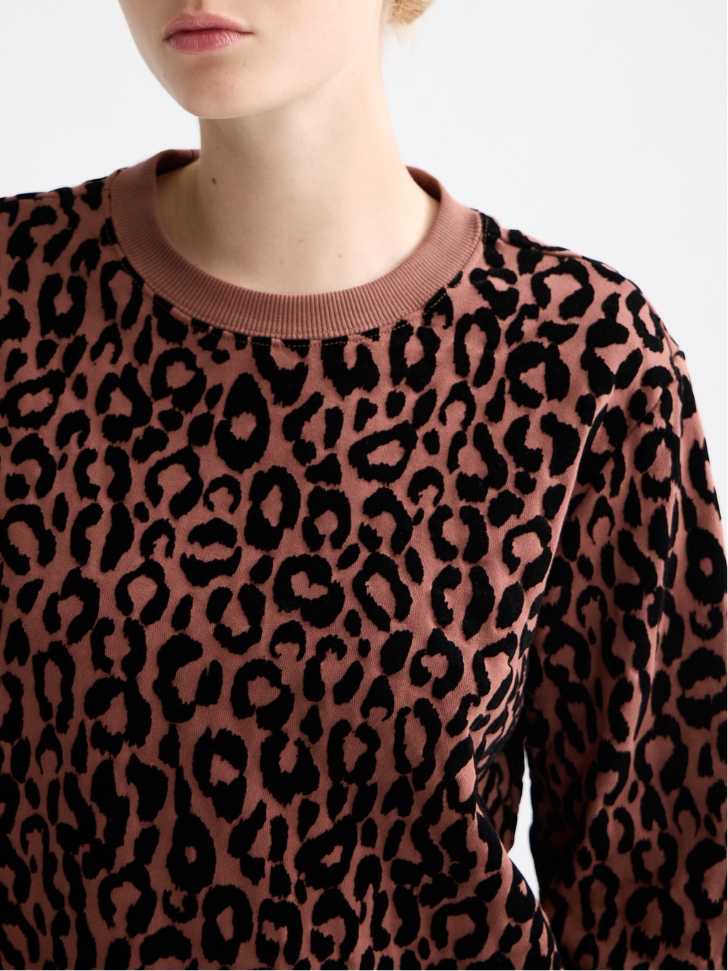 Flock artwork regular sweatshirt