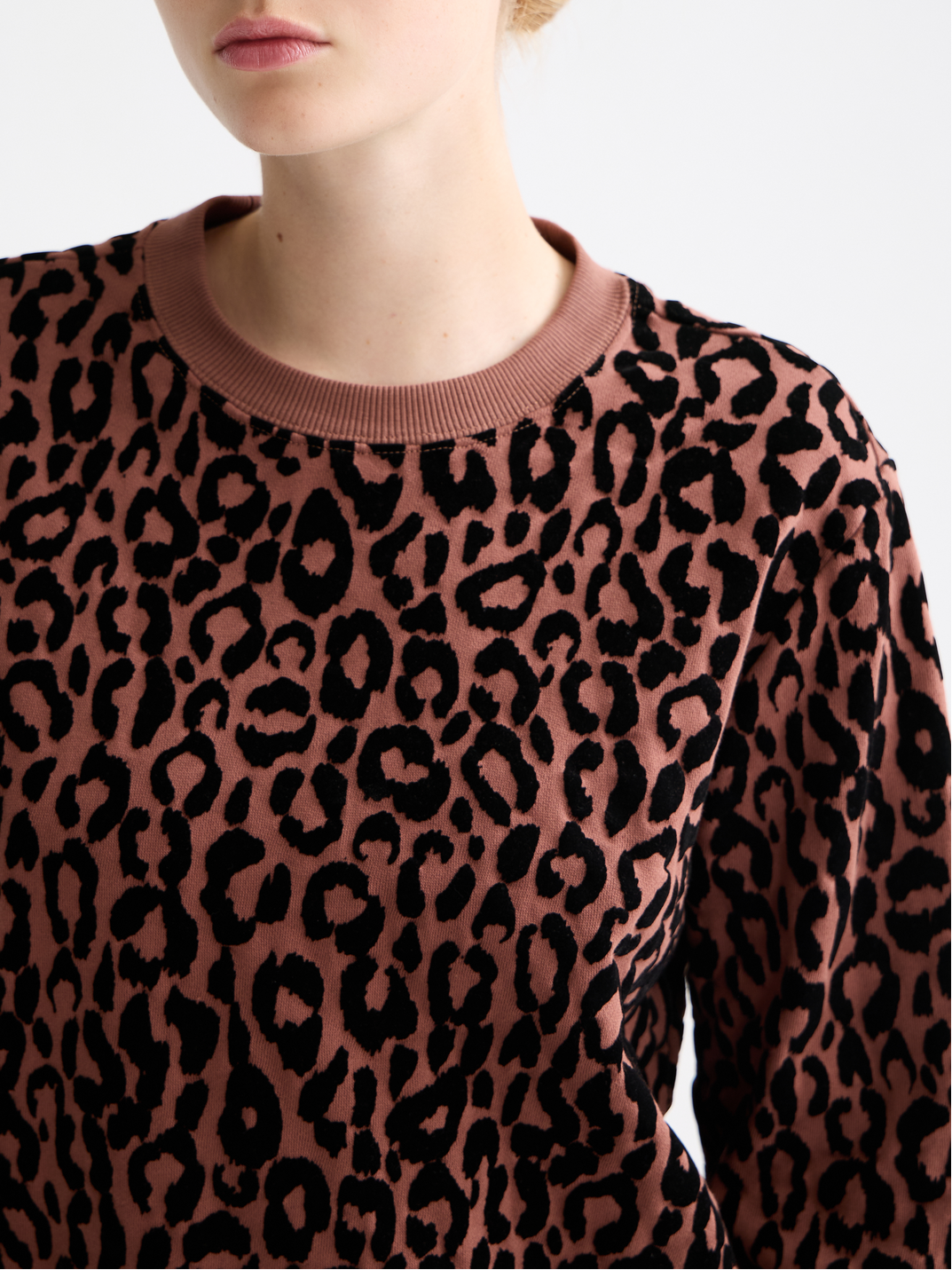 Flock artwork regular sweatshirt