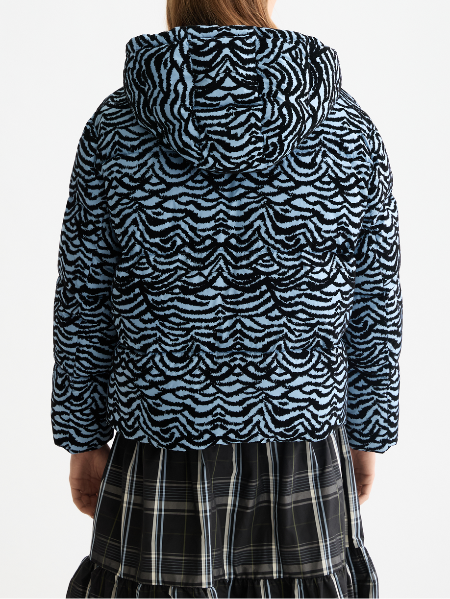 Hooded puffer