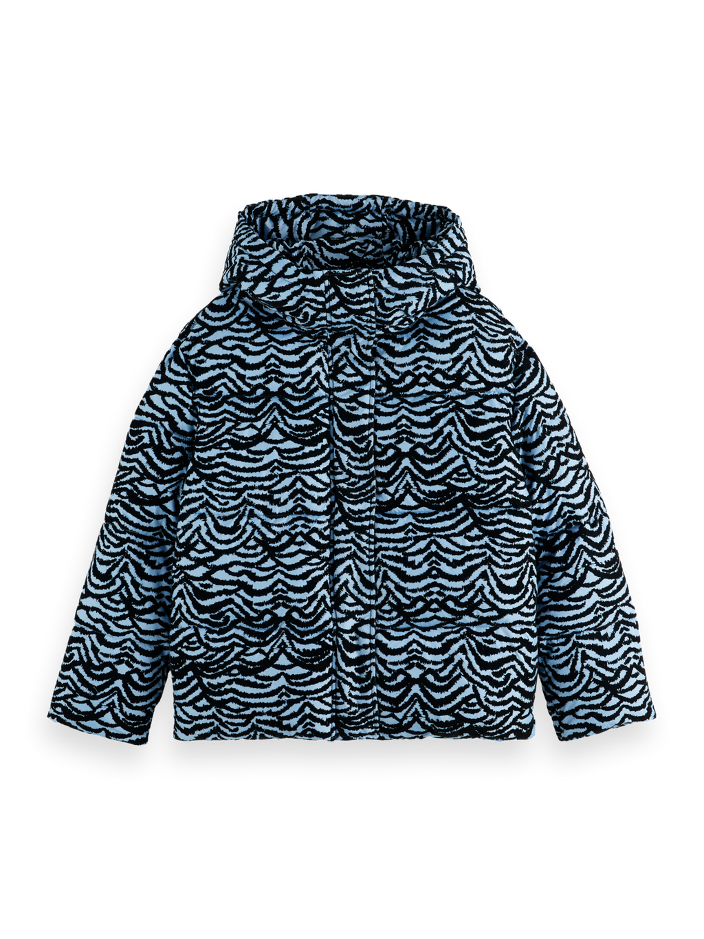 Hooded puffer