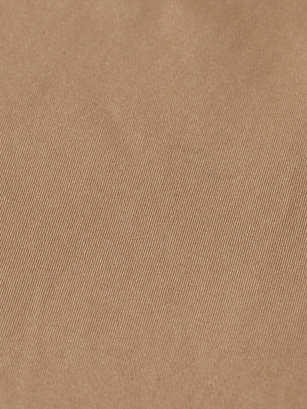 Abott chino pant