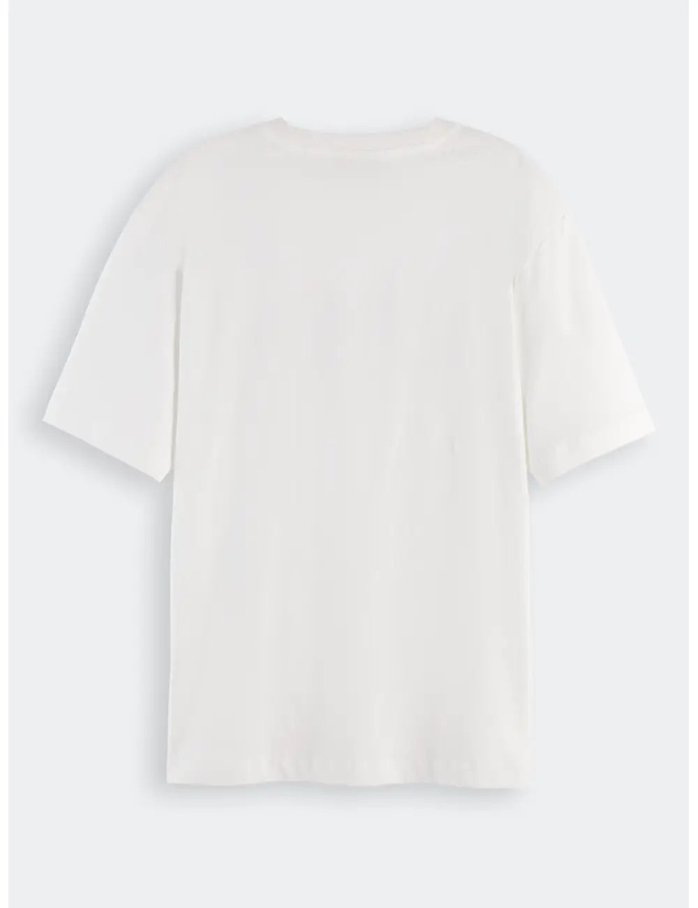 Artwork Loose Fit Tee flat lay back view by Scotch & Soda