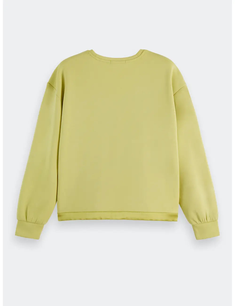 Modal Sweater flat lay back view by Scotch & Soda