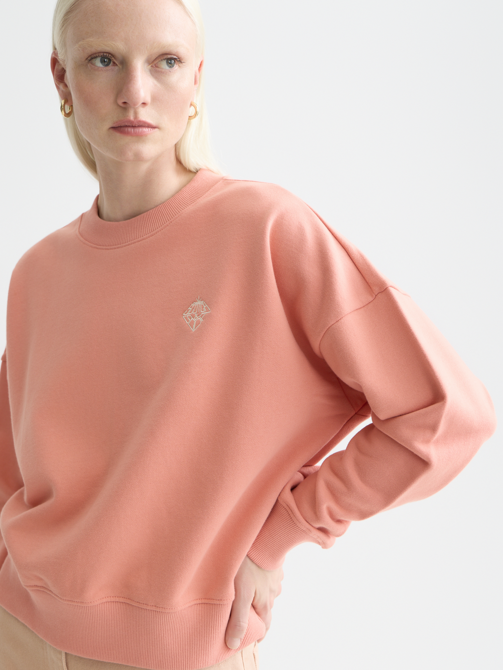 Embroidered logo relaxed sweatshirt