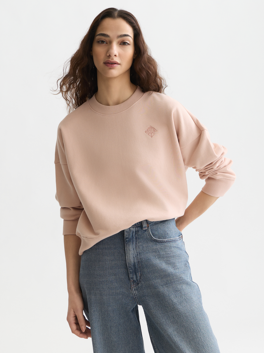 Embroidered logo relaxed sweatshirt